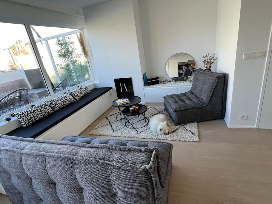 קנוקה-הייסט Beautiful Penthouse At 5Min Of Albert Place מראה חיצוני תמונה